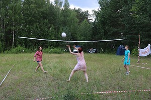 275.jpg