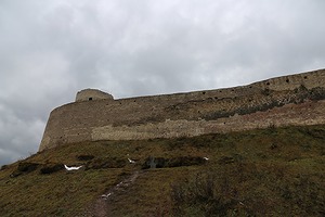 152.jpg