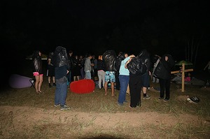 195.jpg