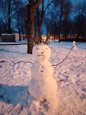 77.jpg