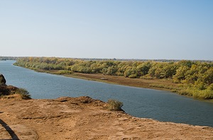 123.jpg