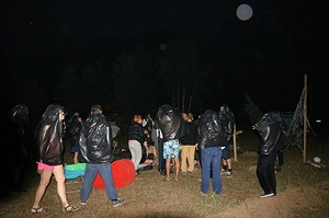 197.jpg
