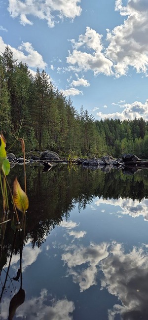 349.jpg