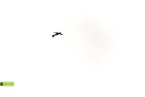 007.jpg
