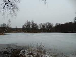 242.jpg