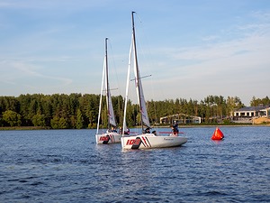 49.jpg