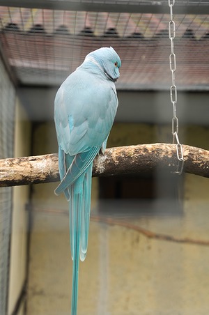 75.jpg