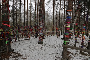 207.jpg