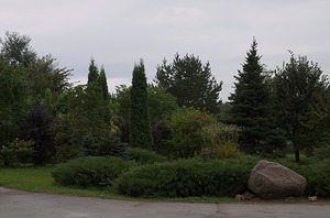 46.jpg