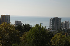 010.jpg