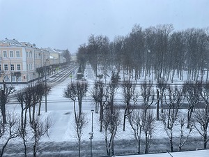 110.jpg
