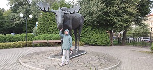 177.jpg