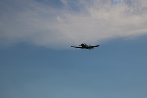 158.jpg