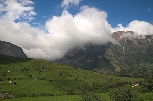 174.jpg