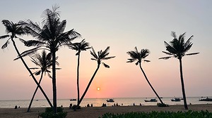 IMAGE 2026-02-20 122336.jpg