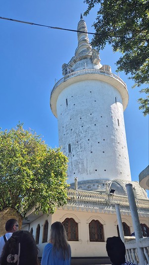 223.jpg