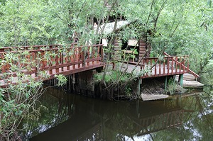 010.jpg