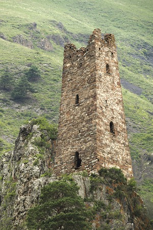 169.jpg