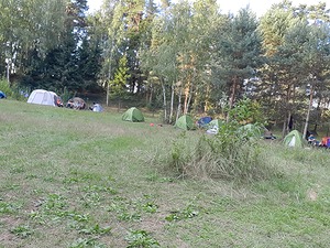 010.jpg
