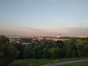14.jpg