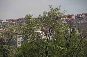 072.jpg