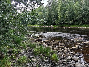 157.jpg