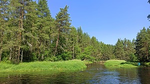 39.jpg