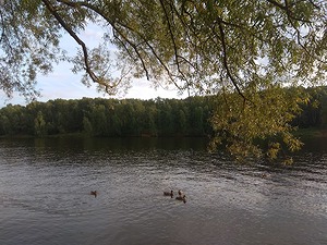 07.jpg
