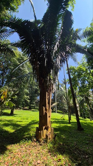 118.jpg