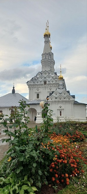 56.jpg