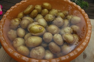 115.jpg