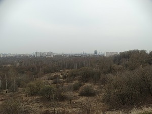 296.jpg