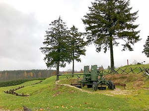 135.jpg