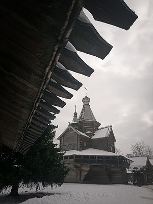 46.jpg