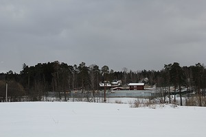 117.jpg
