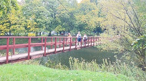 167.jpg