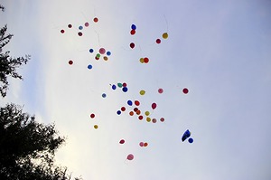 249.jpg