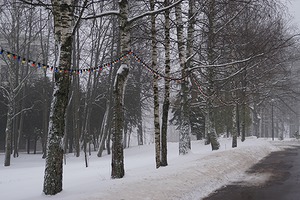 54.jpg