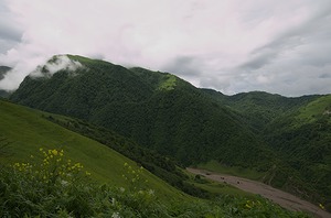 102.jpg