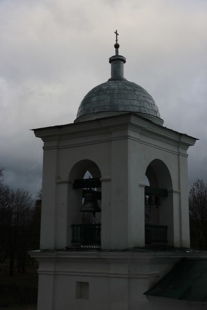 141.jpg