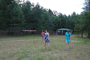 290.jpg