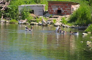 09.jpg