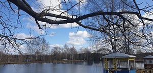 04.jpg