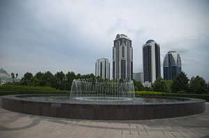 050.jpg