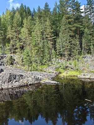174.jpg