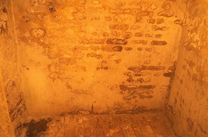 148.jpg