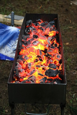 124.jpg