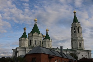 141.jpg
