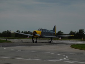 03.jpg