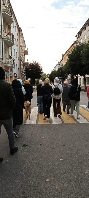 154.jpg